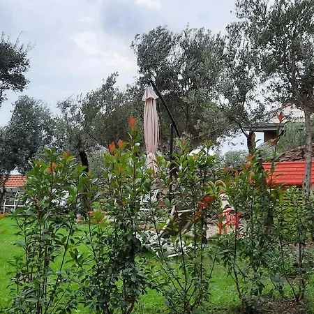 Apartment Poggio Degli Ulivi *