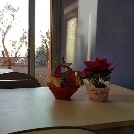 Poggio Degli Ulivi Apartment