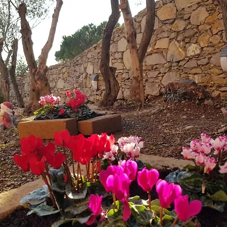 Poggio Degli Ulivi *