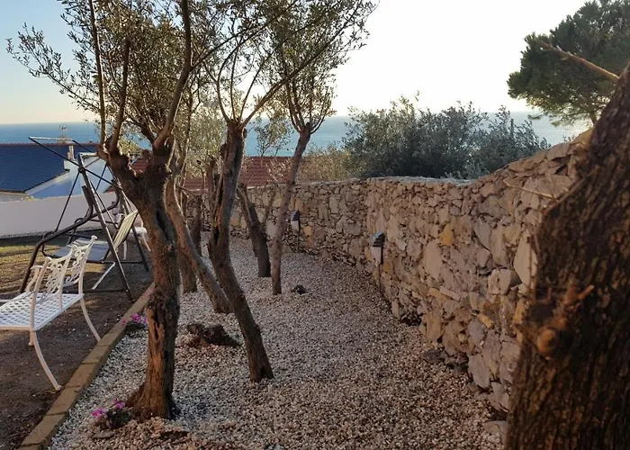 Poggio Degli Ulivi Janov