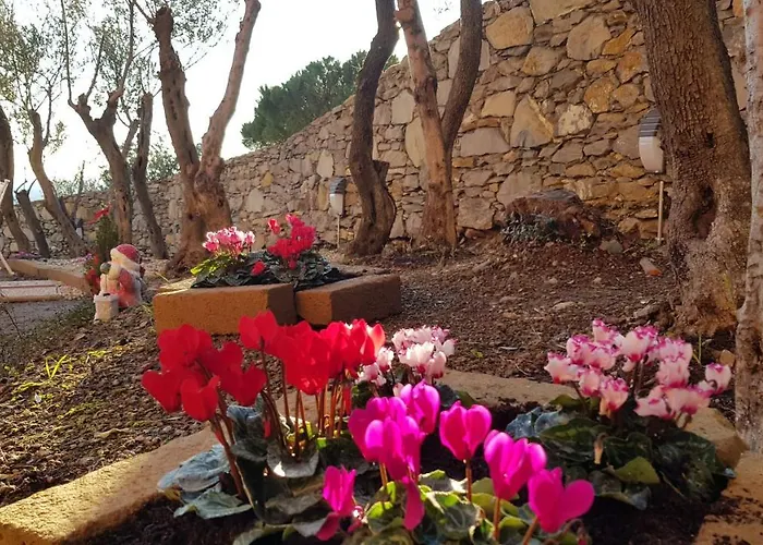 Poggio Degli Ulivi *