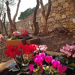 Poggio Degli Ulivi *